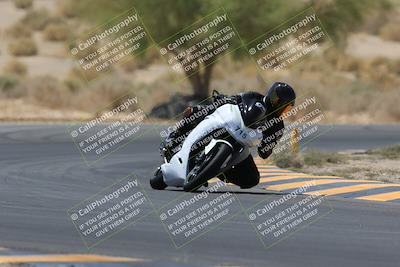 media/May-14-2023-SoCal Trackdays (Sun) [[024eb53b40]]/Turn 5 Tree of Life (1125am)/